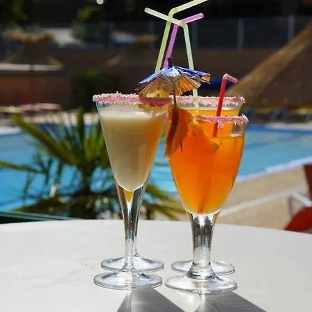 4 Etoiles - Piscine - Ccbagcc * 塔恩河畔圣罗姆