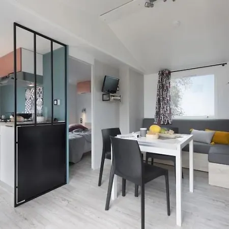 4 Etoiles - Piscine - Ccbagcc Кемпинг Saint-Rome-de-Tarn