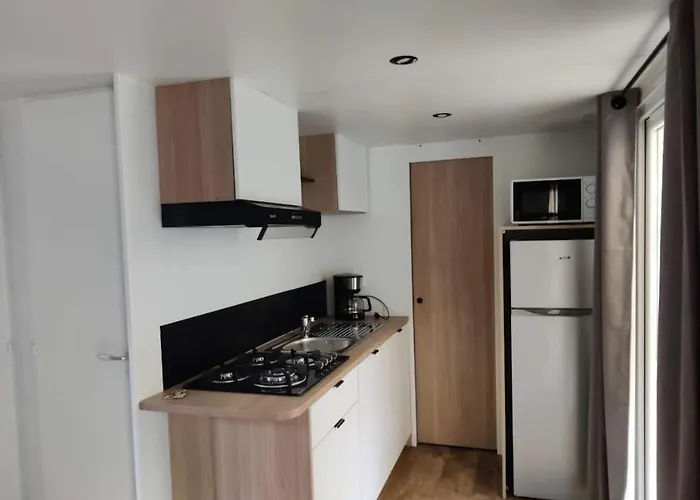 Parque de Campismo Zecamping 4 Familial Animaux Acceptes Anime Equitation Saint-Rome-de-Tarn